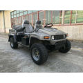 Amazing Impressive Design 48V off Road UTV